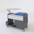 Sidekick Workhorse Workstation